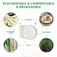 thumbnail image 4 of Platos de papel Vplus, 150 unidades, 23 cm, 100% bagazo compostable, 4 of 7