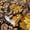 Orange/Brown/Black, variant on UMIGGEE Brown Wallpaper Peel and Stick Wallpaper Embossed Self Adhesive Textured Pattern Wallpaper Kitchen Counter Top Contact Paper 118-in x 15.7-in