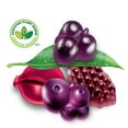 thumbnail image 2 of REALFRUIT  Superfruits Gummies Candy, Dare Real Fruit, 2 of 10