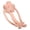 Pink Flower, variant on Homeer Plush Pillow Throw Pillow Stuffed Pillow Plush Pillow with Big Eyes Long Arm Legs PP Fully Filled Cartoon Stuffed Toy Cute Star Shaped Throw Pillow Room Bedroom Sofa