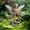 As show, variant on Garden Fairy Statue Outdoor Decor, Female Angel with Wings Flat Insertion, Yard Patio Landscape Decoration, Miniature Fantasy Scene Prop for Courtyard Pile
