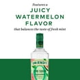 thumbnail image 3 of Smirnoff Zero Sugar Infusions Watermelon & Mint (Vodka Infused with Natural Flavors & Essence of Real Botanicals), 750 mL, 30% ABV, 3 of 8