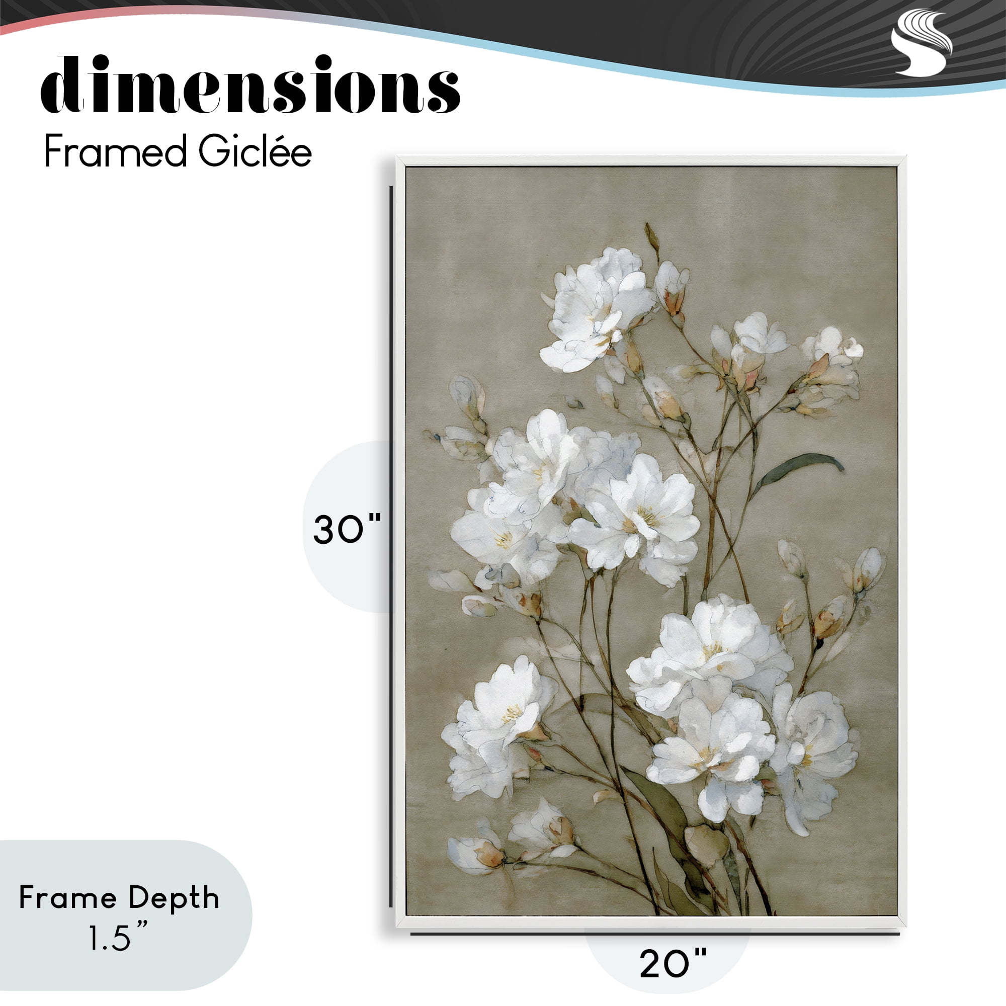 Stupell Industries Aged White Botanical Study White Framed Giclee Art, design by Petal Prints Design
