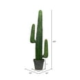 thumbnail image 5 of Vickerman 49" Artificial Cactus In Black Pot., 5 of 5