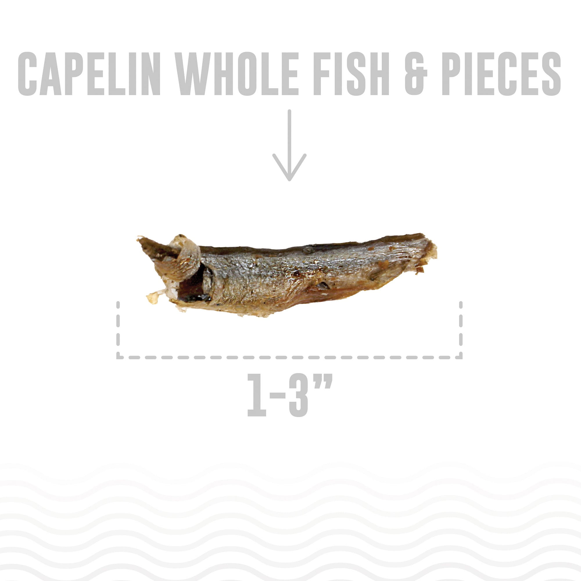 Icelandic+ Whole Fish & Pieces: Capelin - 2.5oz Bag - Dog Treats, Wild-Caught Air-Dried Fish, Single Ingredient Pet Snacks, Just The Fish Nothing Else