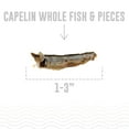 thumbnail image 3 of Icelandic+ Whole Fish & Pieces: Capelin - 2.5oz Bag - Dog Treats, Wild-Caught Air-Dried Fish, Single Ingredient Pet Snacks, Just The Fish Nothing Else, 3 of 6
