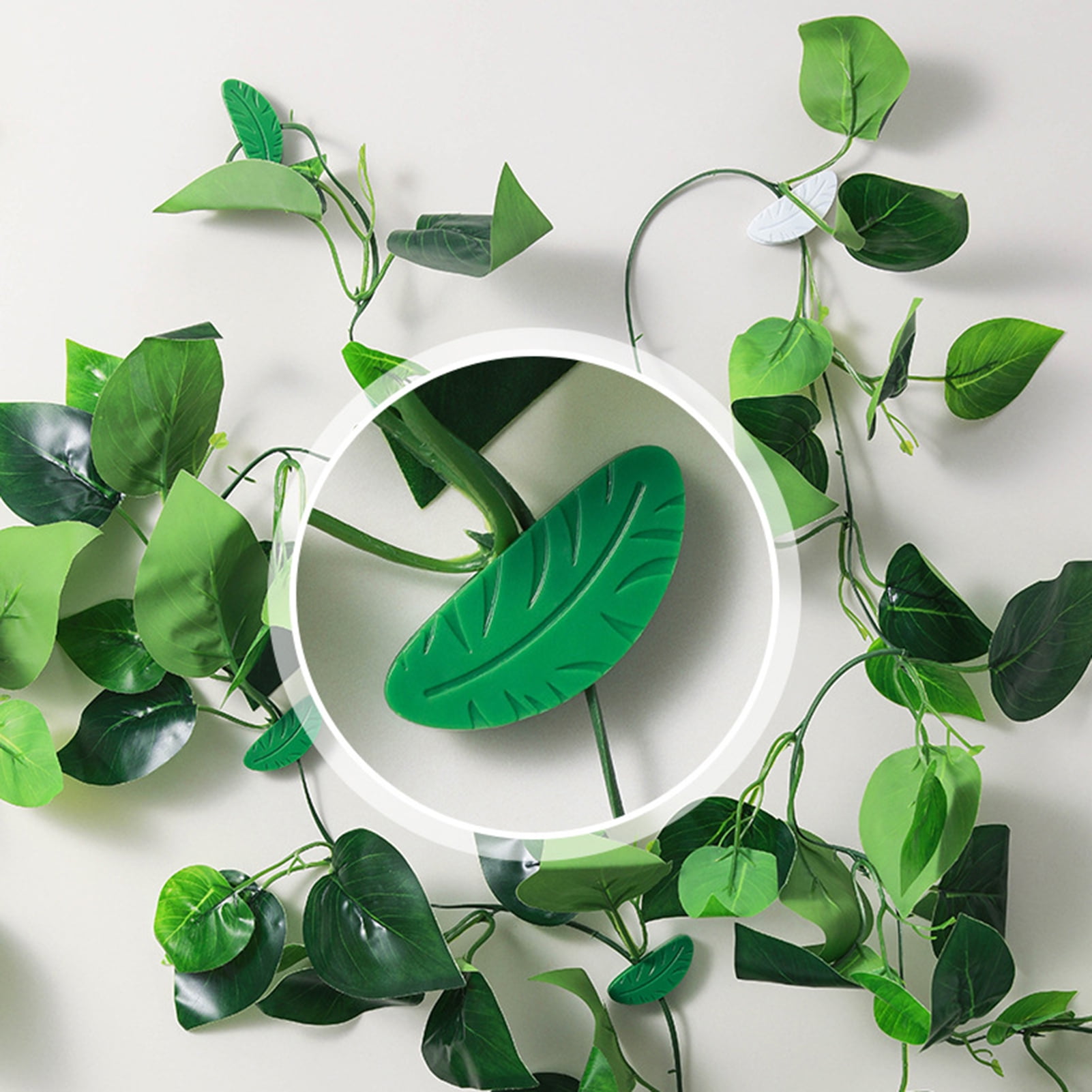 Honrane 8Pcs Plant Fixture Clips Doublesided Adhesive, Fixing Leaf