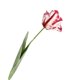 thumbnail image 1 of 1 pieza de flor artificial vívida decorativa de 68 cm, tulipán loro 3D de tacto real, decoración de flores falsas para el hogar, 1 of 8