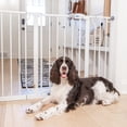 thumbnail image 6 of Carlson White Metal Walk-Thru Pet Gate with Lift Handle and Pet Door, 30" H x 29"-51" W, 6 of 10