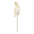 thumbnail image 1 of Flor Artificial Mainstays 71 x 15 x 15 cm Orquídea Blanca Tallo Largo, 1 of 4