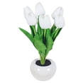 thumbnail image 1 of Luz De Noche De Tulipán Tulip Night Light Lighting Ornaments 300mAh Recargable LED Flower Lamp (Blanco), 1 of 9