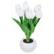 thumbnail image 2 of Luz De Noche De Tulipán Adornos de lámpara de escritorio de flores LED con botón de luz nocturna de tulipán (blanco) Tmvgtek Para estrenar, 2 of 9