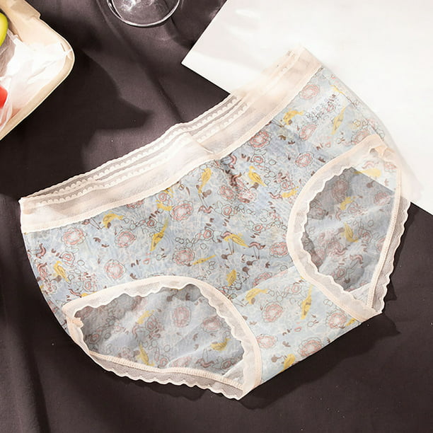 Aayomet Underwear for Women Panties Mid Waist Briefs Double Crotch Panties  (Blue, L) 