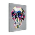thumbnail image 4 of Trademark Fine Art 'Skull' Canvas Art by Artpoptart, 4 of 4