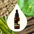 thumbnail image 2 of Plant Therapy Organic Brain Power Tincture 30 mL (1 oz) Supports Focus & Clarity, Helps Mental Alertness & Memory, Packed with Benefits and Easy-to-Use, 2 of 7