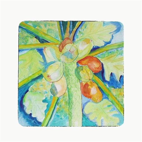 Betsy Drake CT1100 Big Cocoa Nuts Coaster - Set of 4