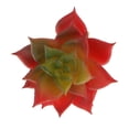 thumbnail image 3 of Adorno Hogar Artificial Flor Sunnimix Planta artificial Roja 7cm, 3 of 6