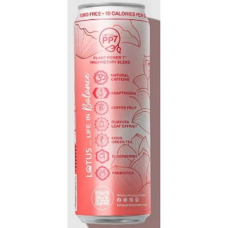 桃蓮玉☆。.:＊・゜✡ 皇 'energy' CSM Energy Lock Seed Set | NARIKIRI WORLD(NARIKIRI WORLD)| BANDAI