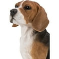 thumbnail image 3 of Hi- Line Gift 87763-B Beagle Sitting Dog Statue, 3 of 6