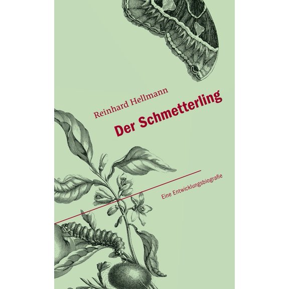 Der Schmetterling: Eine Entwicklungsbiografie, (Paperback)