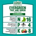 Expert Gardener Evergreen Tree & Shrub Plant Food Fertilizer 1648, 8