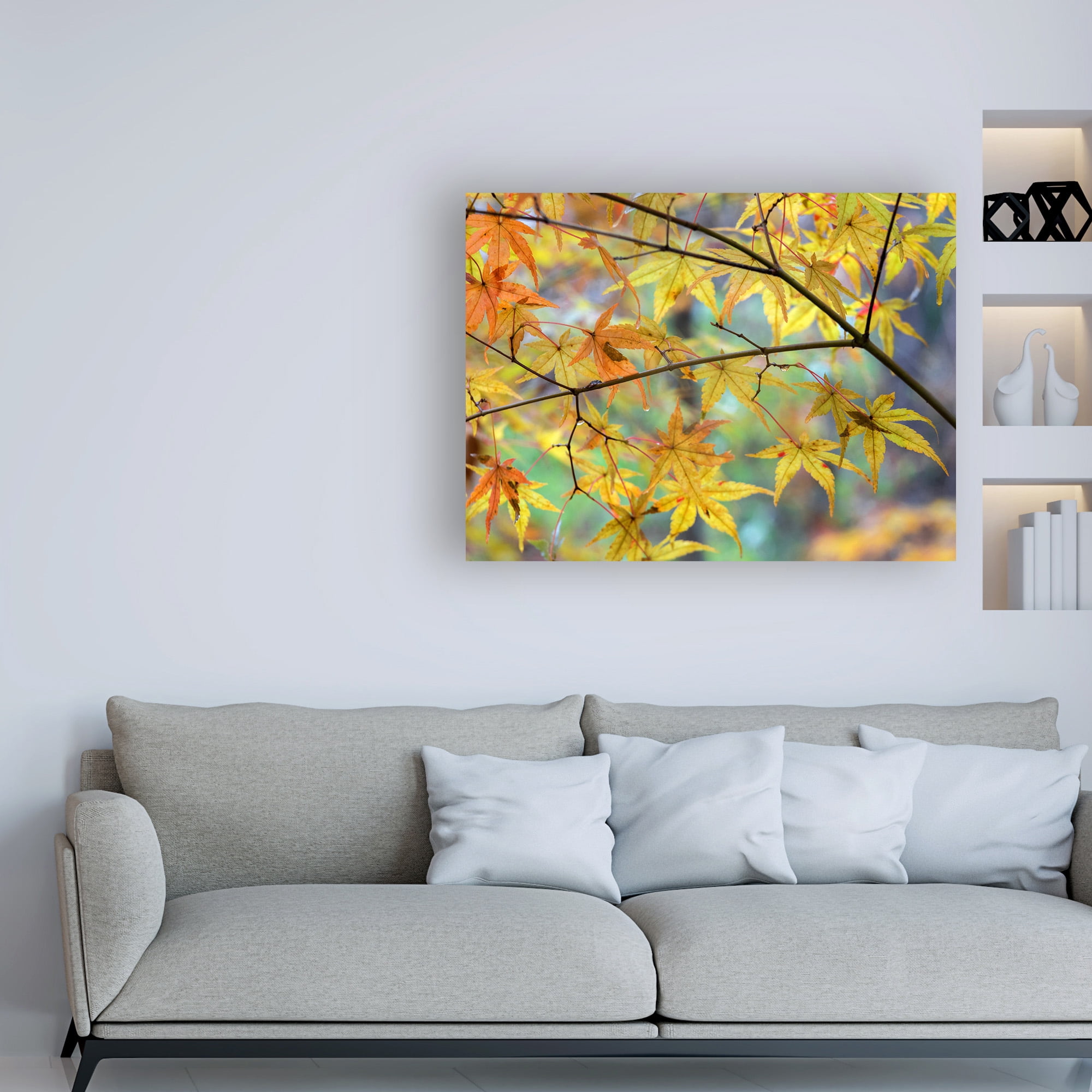 Trademark Fine Art 'Autumn Maples' Canvas Art by David Hammond