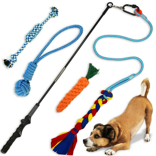 Flirt stick cheap training