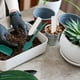 thumbnail image 4 of BESTYASH 1 De Herramientas Para Plantar Suculentas Y Bonsáis Con Accesorios Duraderos De ABS Para Jardín, 4 of 8