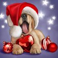 thumbnail image 1 of Sombrero Navidad Con Diamantes Completos Btafrte Serie Perro Resina 40*40CM, 1 of 9