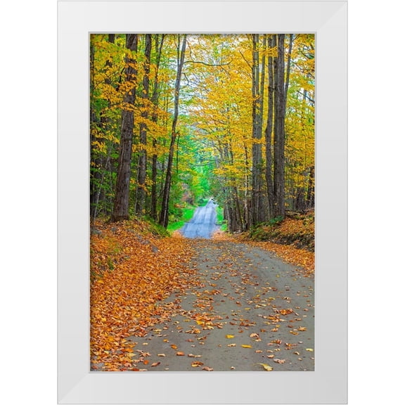 Gulin, Sylvia 11x14 White Modern Wood Framed Museum Art Print Titled - USA-New England-Vermont tree-lined roadway in Autumns Fall colors