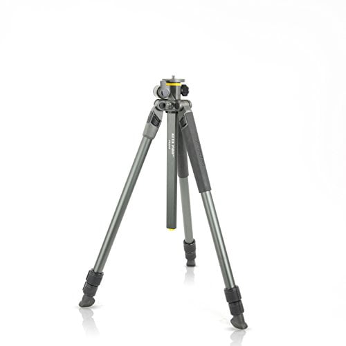 Vanguard Alta Pro 2+ 263AT Aluminum Tripod with MultiAngle Center