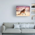 thumbnail image 3 of PHBurchett 'Running in the Sand II' Canvas Art, 3 of 3
