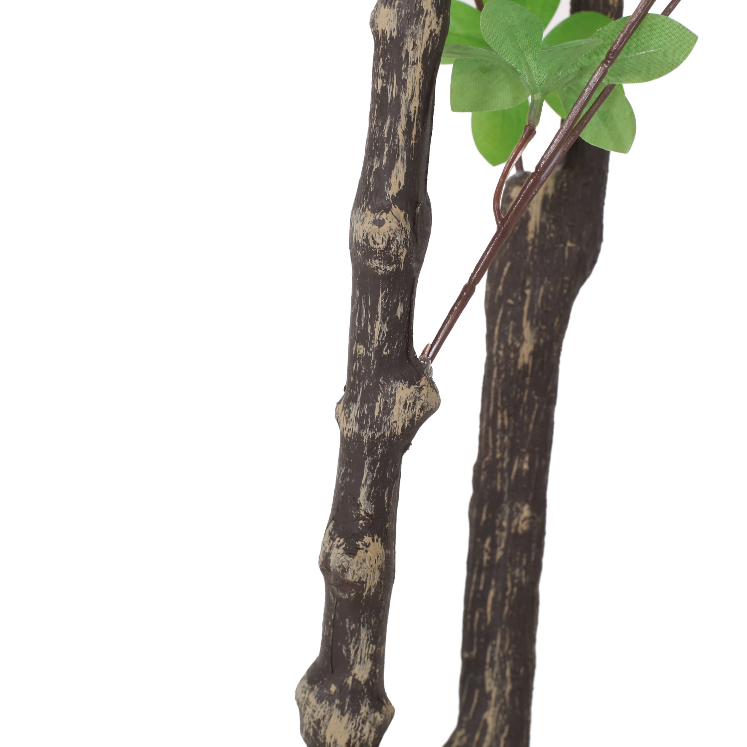 Noble House Coles 6' x 3' Artificial Enkianthus Tree, Green