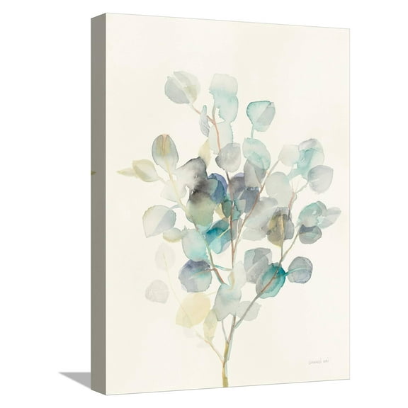 Art.com Eucalyptus III Stretched Canvas Print Wall Art by Danhui Nai, 12" x 16"