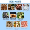 thumbnail image 5 of Mammoth Bar Organic Macadamia Coconut High Protein Bar – Clean Label, Gluten-Free, No Added Sugar, Non-GMO, 10 Count, 5 of 6