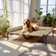 thumbnail image 2 of Cama elevada para perros Veehoo Cooling con cojín impermeable, color beige, 2 of 7
