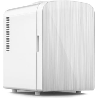 Reemix Portable Mini Refrigerator, 3.7-Liter Capacity, AC DC Power