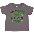 thumbnail image 3 of Inktastic I'm So Lucky I'm a Big Sister to Be Girls Toddler T-Shirt, 3 of 5