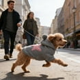 thumbnail image 5 of Warm Knitted Winter Coat for Small Cats and Puppies French Pet Apparel, 5 of 5