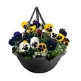 thumbnail image 2 of Bloem Milano Round Hanging Planter (Set of 12), 2 of 7