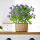 thumbnail image 3 of Set de Flores Artificiales | Hojas de eucalipto y pensamientos | 5 piezas de ramo floral falso surtido | Seda y plástico realistas | Decoración interior y exterior | Arreglo realista de bajo, 3 of 5