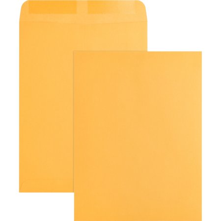 Business Source, BSN42100, Kraft Gummed Catalog Envelopes, 250 Per Box, Kraft
