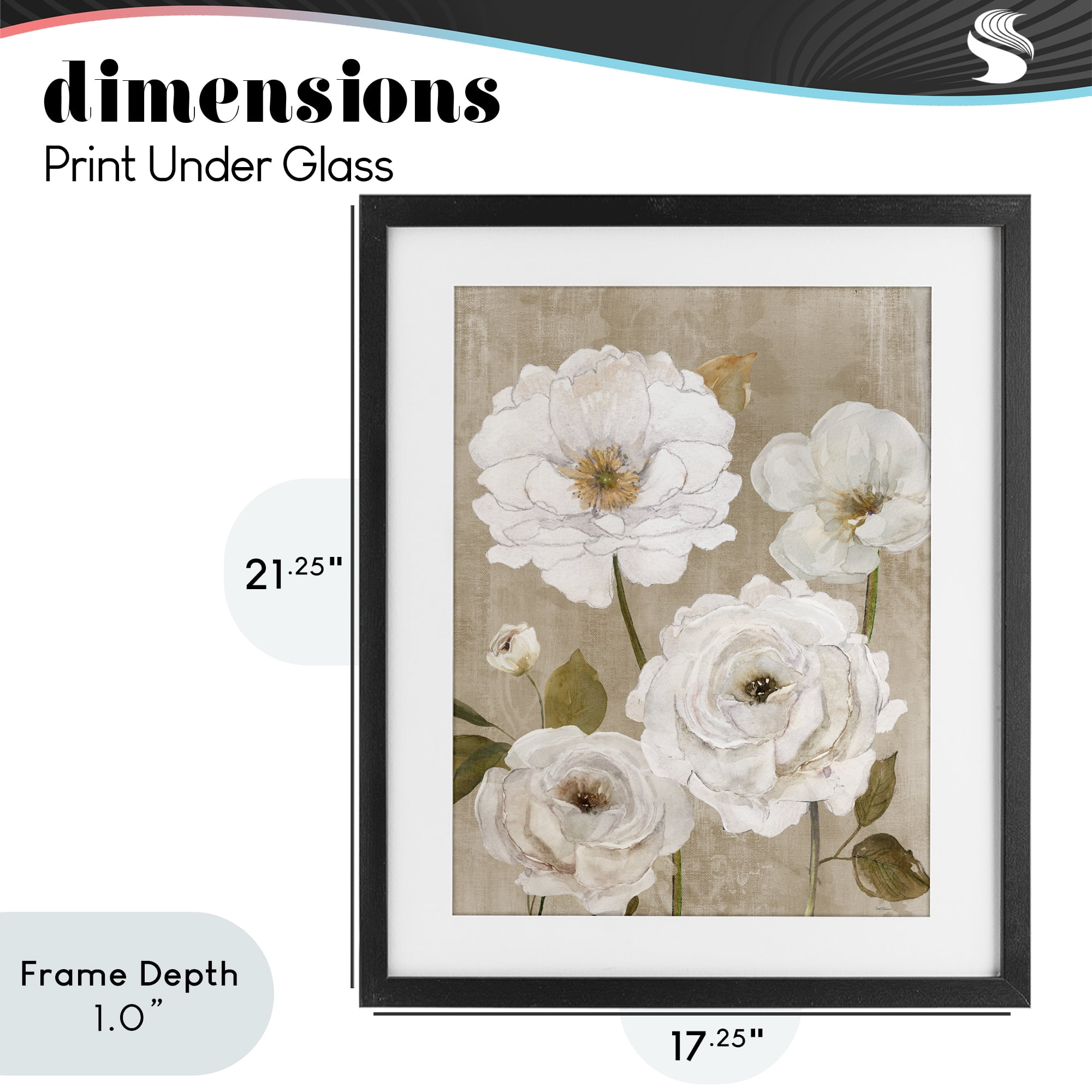 Stupell Industries Rustic Blooms in White Black Framed Print Under Glass, design by Carol Robinson