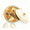 white, variant on cast iron Dutch oven, oval shape enameled cast iron dutch oven, with lid and two handles, kitchen set for stewing, baking, soups, and breads, red