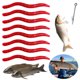 thumbnail image 5 of Gusano Blando Lombriz Tierra Cebo Blando Falso Lombriz Tierra Cebo para Peces Mar Cebo Pesca Gusano Rojo (rojo Brillante 50/paquete), 5 of 9