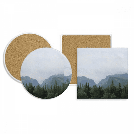 

Baiyun Pine Forest Coaster Cup Mug Holder Absorbent Stone Cork Base Set