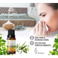 thumbnail image 2 of Aceite Esencial de Eucalipto Herbolare 15 ml Eucalipto, 2 of 3