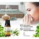 thumbnail image 2 of Aceite Esencial de Eucalipto Herbolare 15 ml Eucalipto, 2 of 3