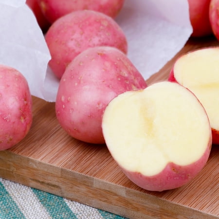 Van Zyverden Potatoes Dark Red Norland Set of 12 Bulbs White Full Sun Edible 2 lbs