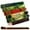 Forest-1, variant on Hem Incense Sticks Variety Pack #5 And Incense Stick Holder Bundle With 5 Money And Success Themed Fragrances